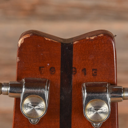 Washburn Hawk Natural 1979 Electric Guitars / Solid Body