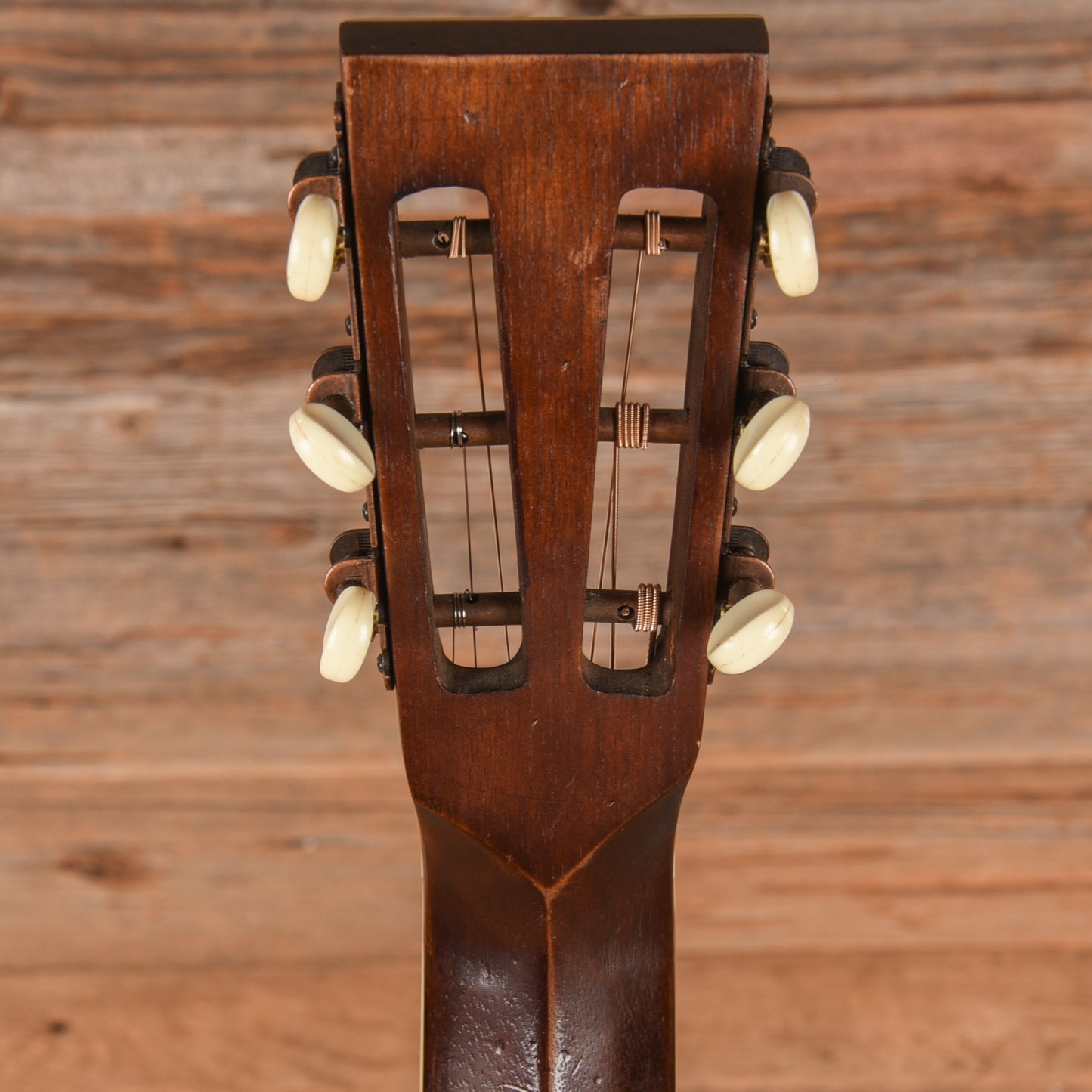 Washburn R319SWKK Walnut - Zac Brown