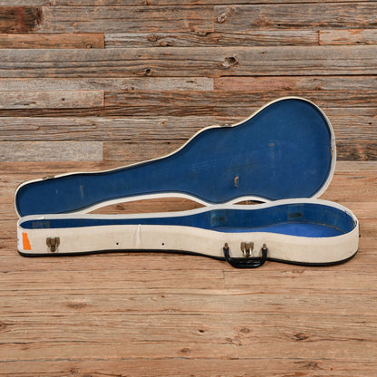 Waterslide Junior Doghair 2019 Electric Guitars / Solid Body