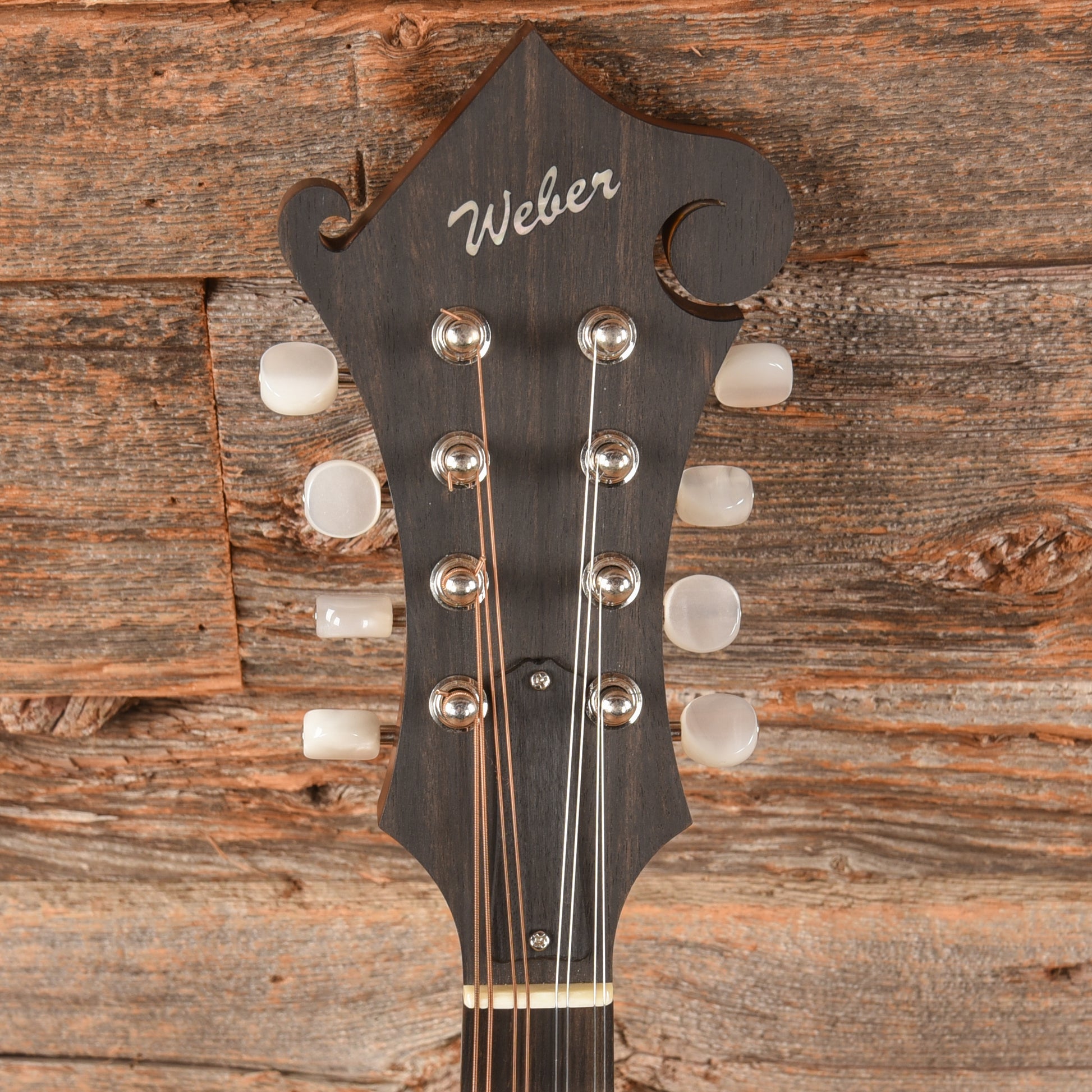 Weber Mandolins Gallatin F-14-F Brown Folk Instruments / Mandolins