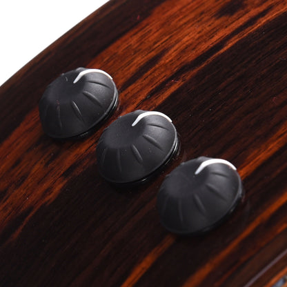 Taylor Custom "The Catch" NAMM 2024 #25 C14ce Grand Auditorium Western Red Cedar/East Indian Rosewood Brown Sugar Mocha