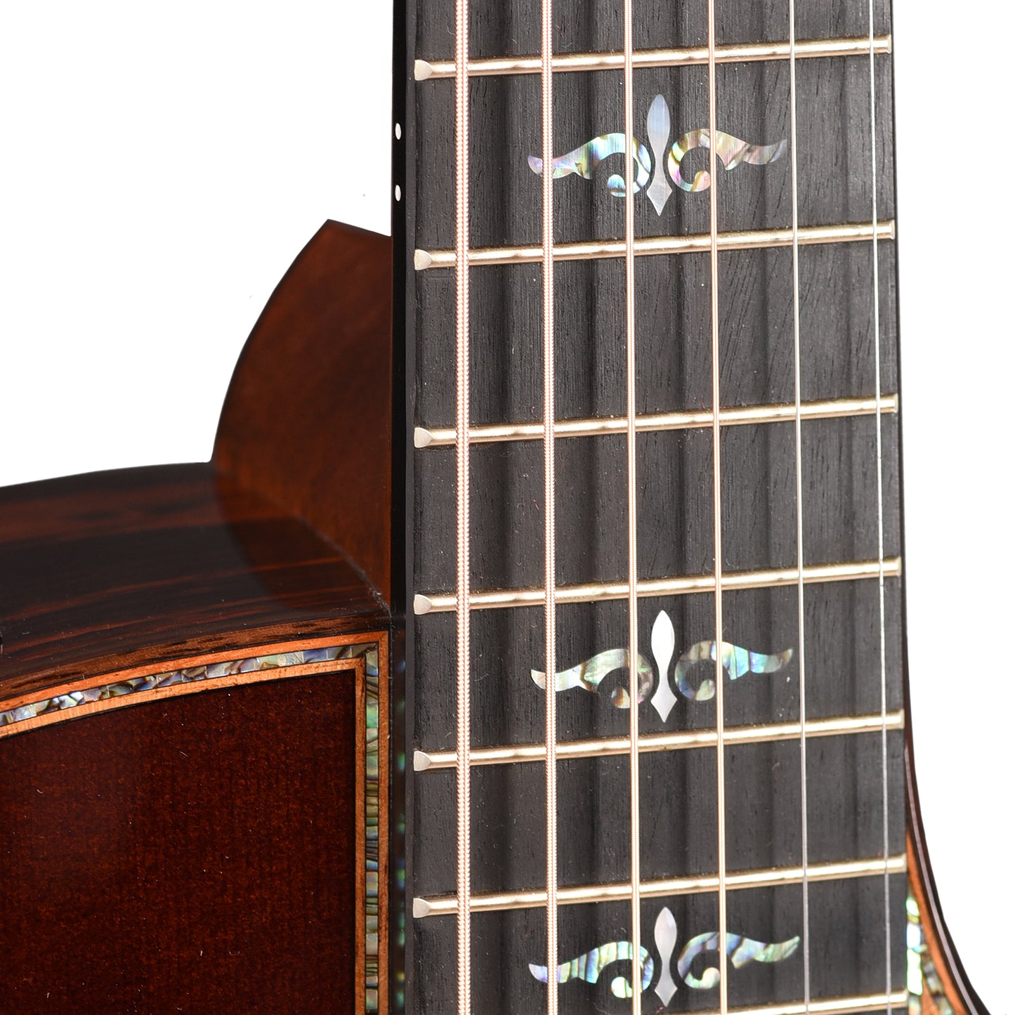 Taylor Custom "The Catch" NAMM 2024 #25 C14ce Grand Auditorium Western Red Cedar/East Indian Rosewood Brown Sugar Mocha