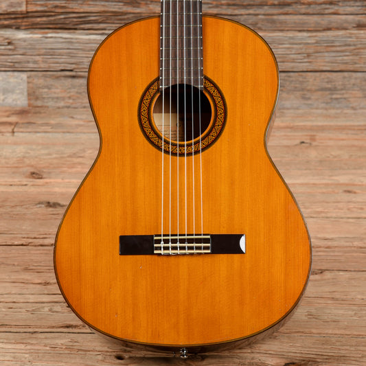 Yamaha G-231 Natural Acoustic Guitars / Classical