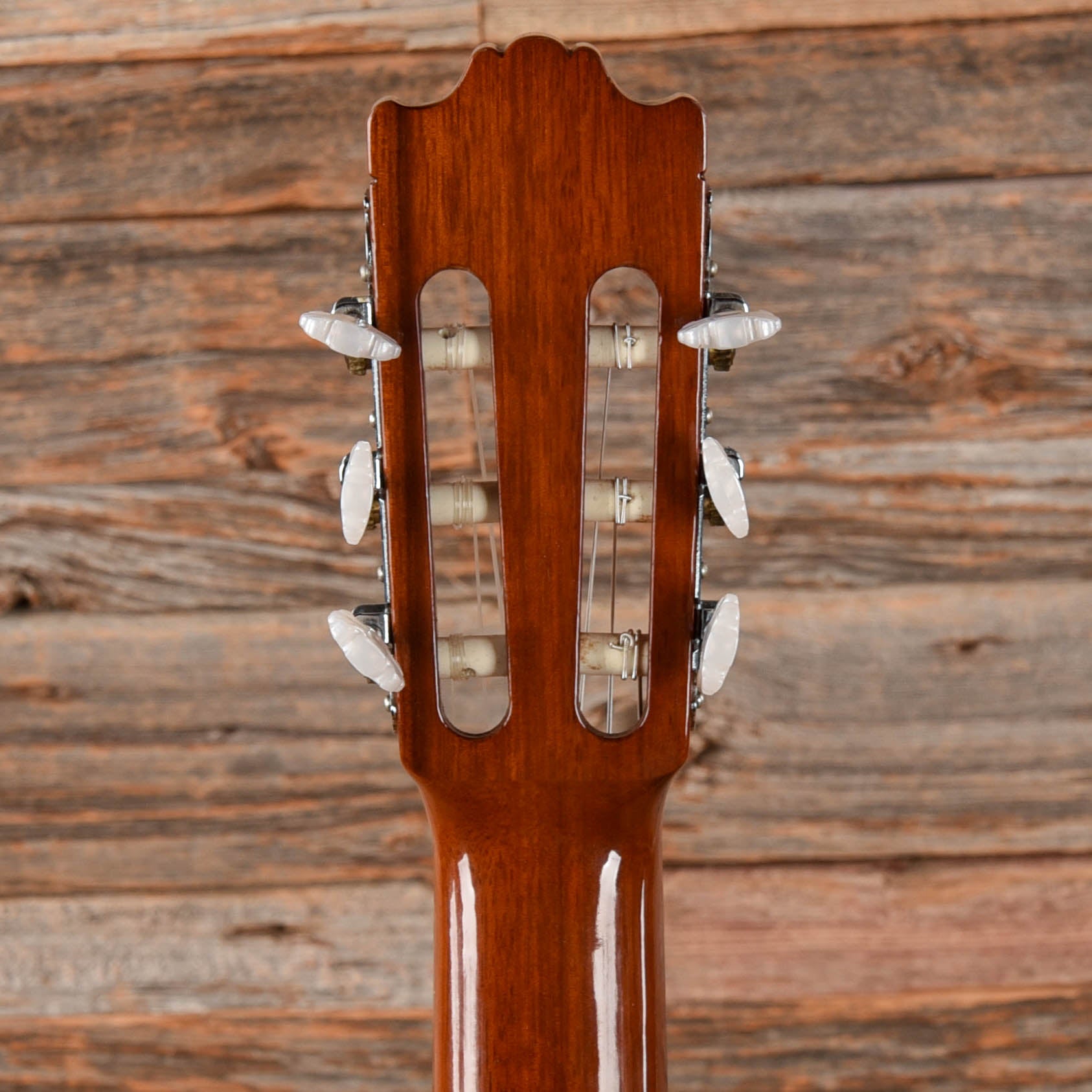 Yamaha G-231 Natural Acoustic Guitars / Classical