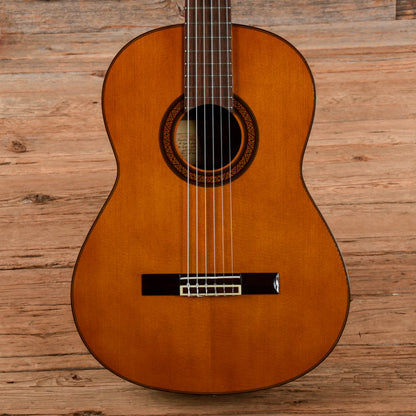 Yamaha G-231 Natural Acoustic Guitars / Classical