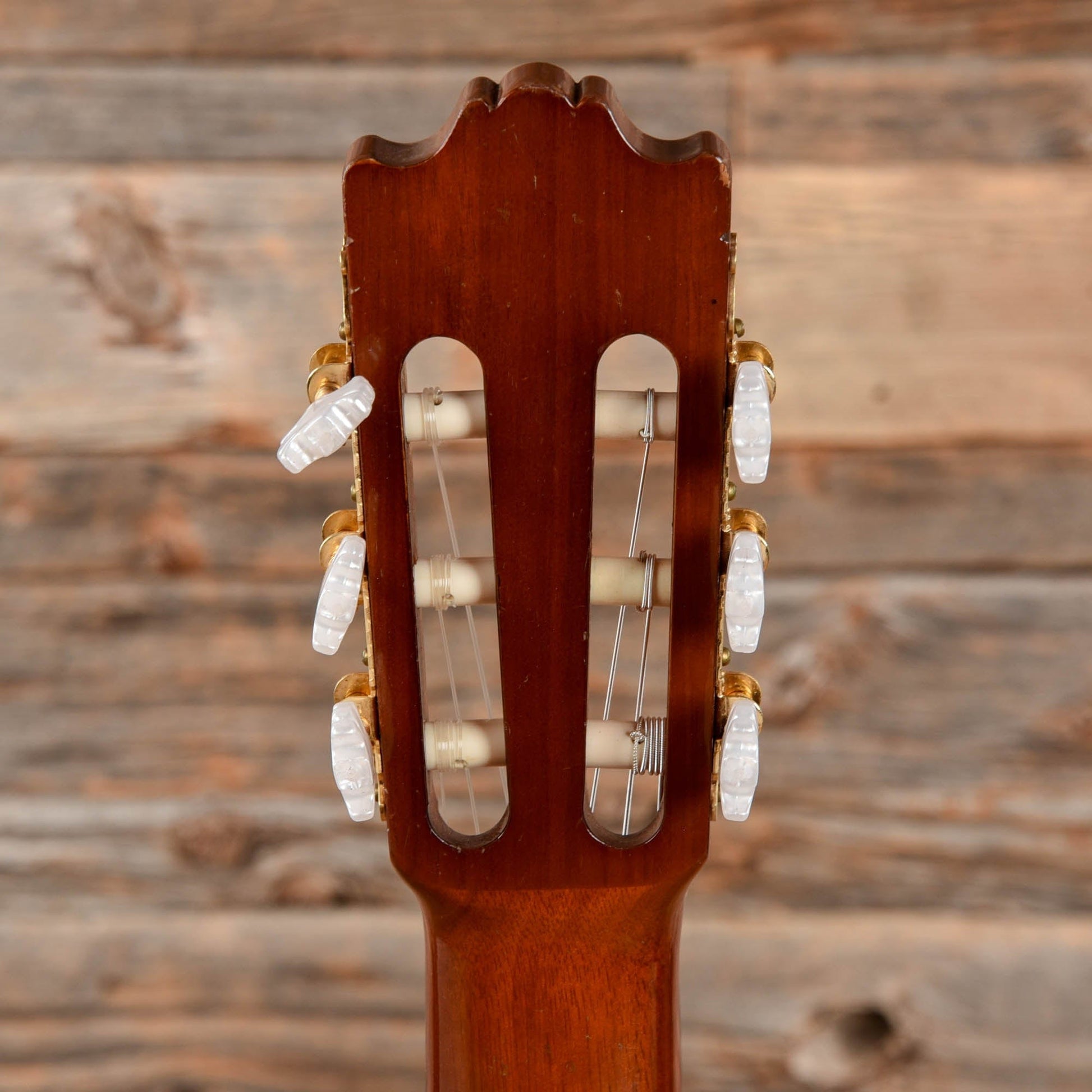 Yamaha G255-S Classical Natural Acoustic Guitars / Classical