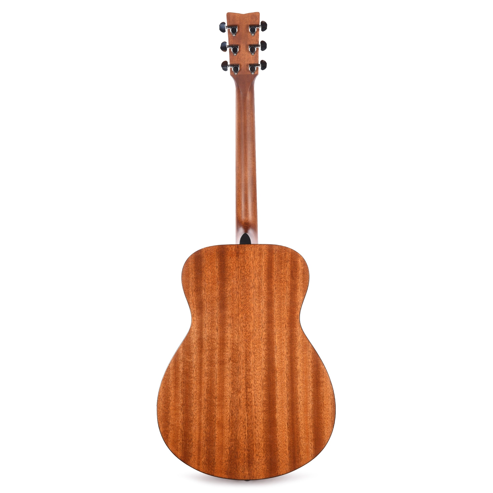 Yamaha FS800 T Concert Acoustic Limited Edition Tinted Natural Top Acoustic Guitars / Concert
