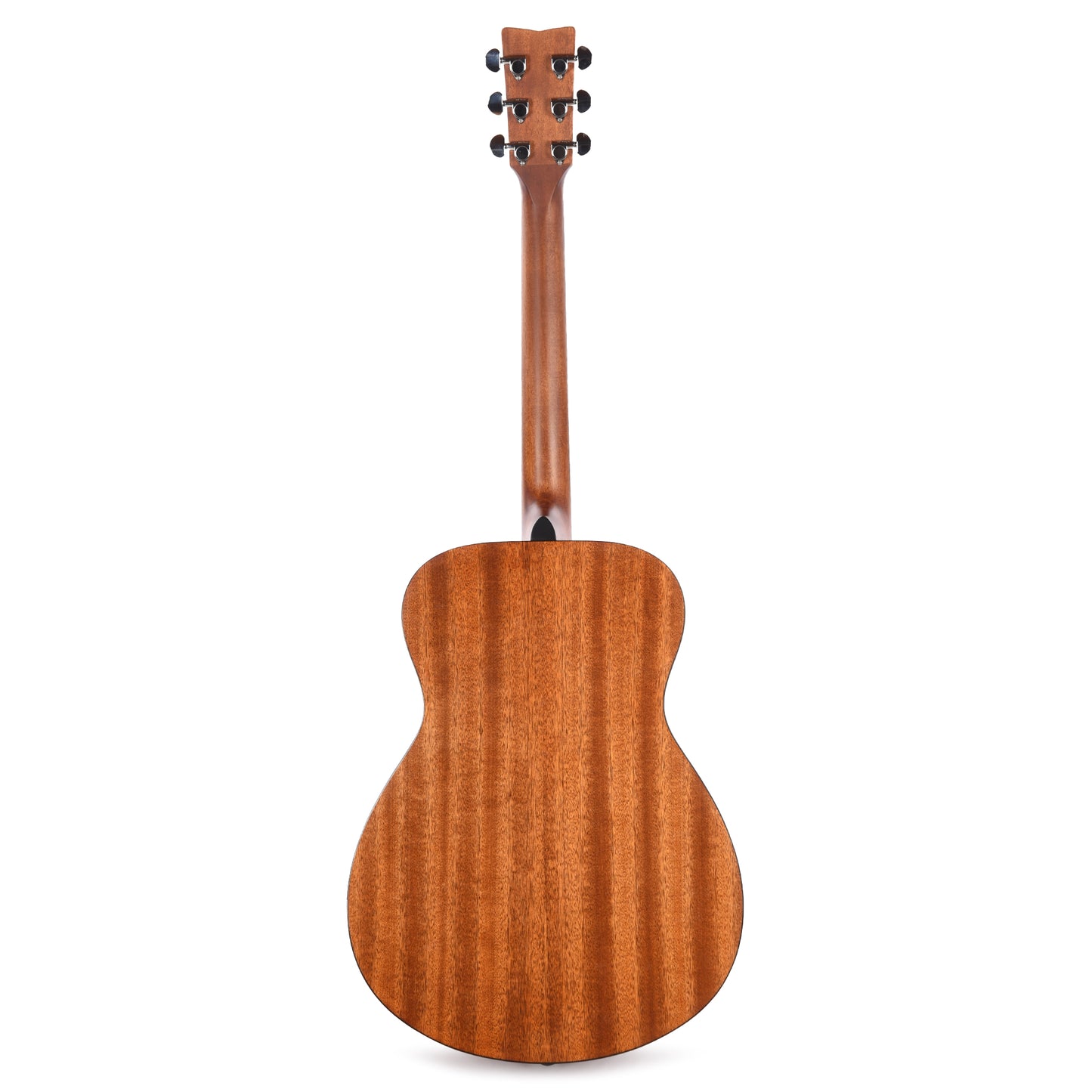 Yamaha FS800 T Concert Acoustic Limited Edition Tinted Natural Top Acoustic Guitars / Concert