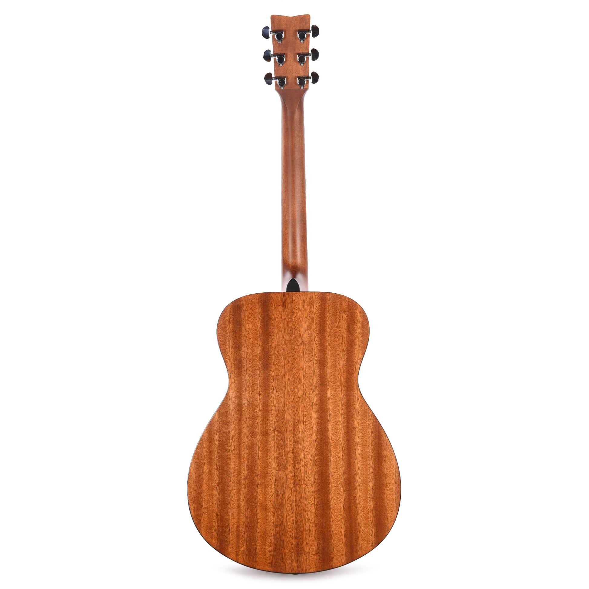 Yamaha FS800 T Concert Acoustic Limited Edition Tinted Natural Top Acoustic Guitars / Concert