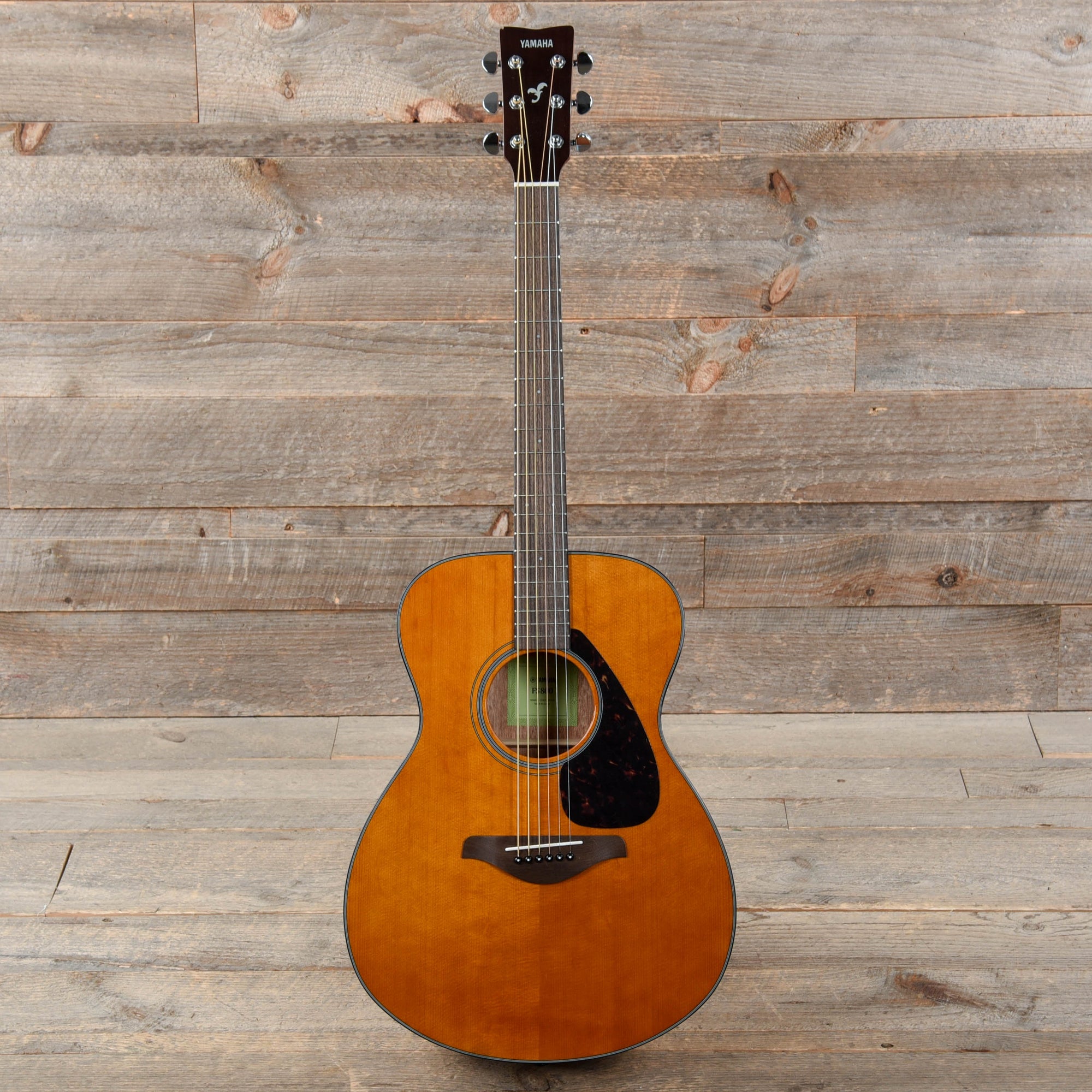 Yamaha FS800 T Concert Acoustic Limited Edition Tinted Natural Top ...