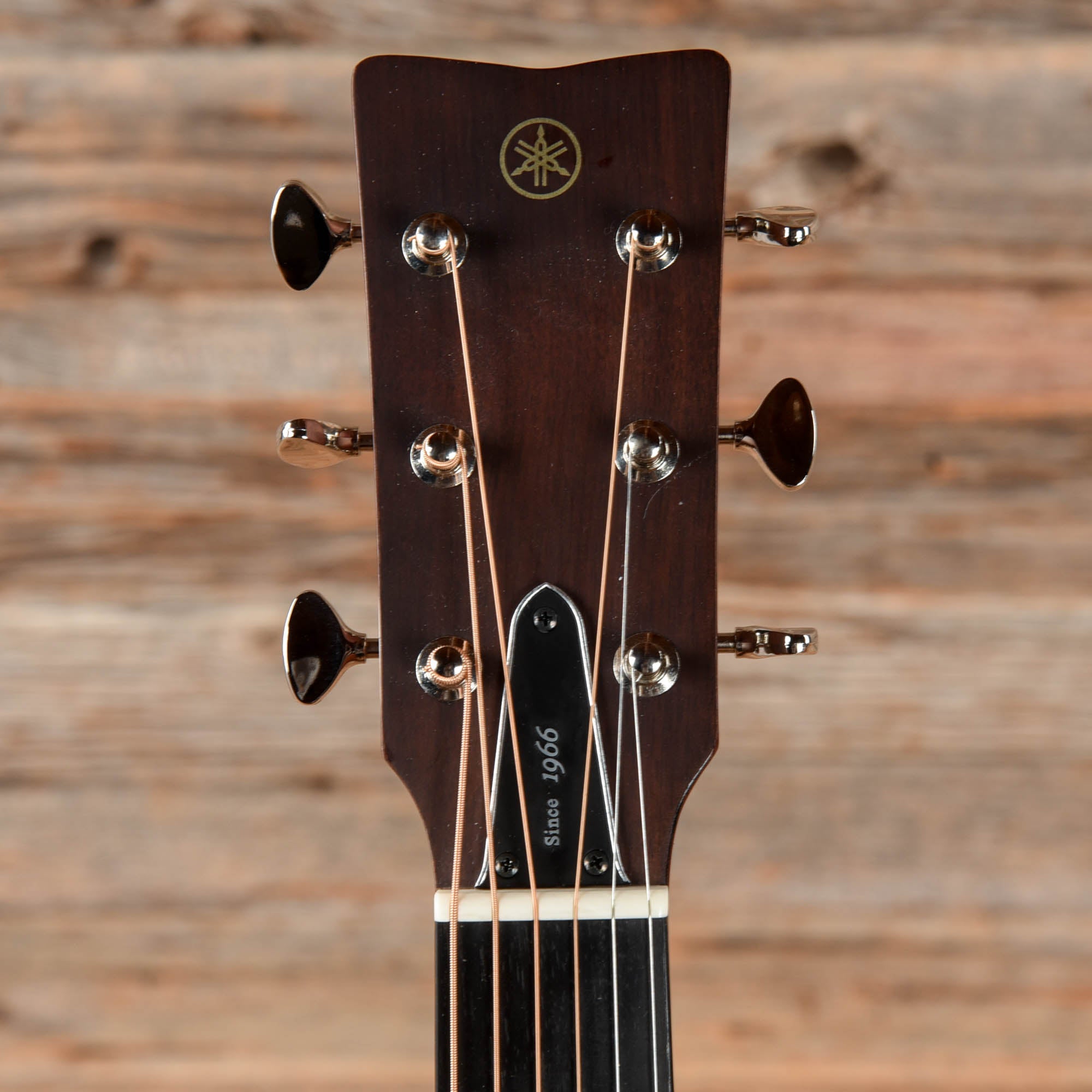 Yamaha FSX5 Red Label Concert Natural Acoustic Guitars / Concert