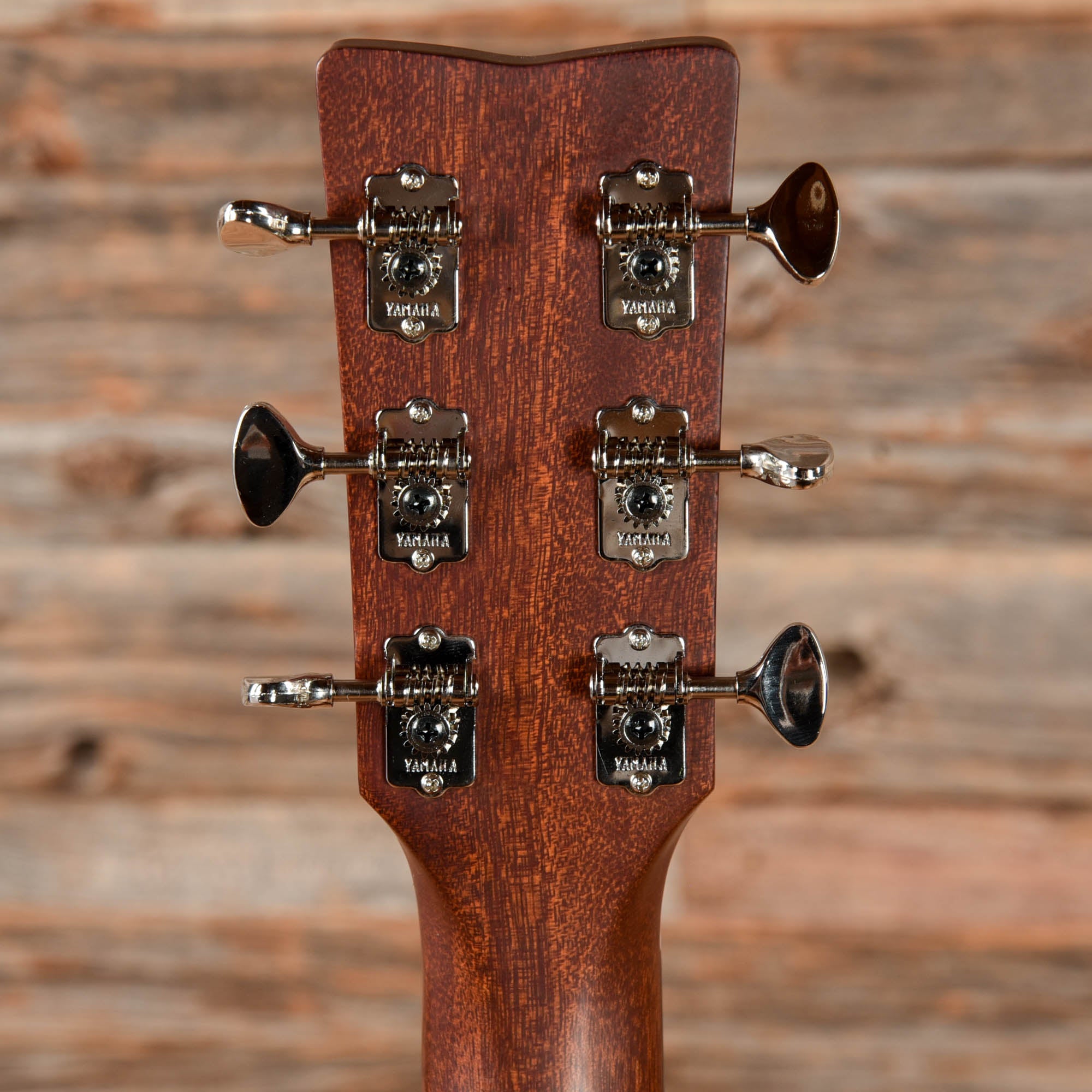 Yamaha FSX5 Red Label Concert Natural Acoustic Guitars / Concert