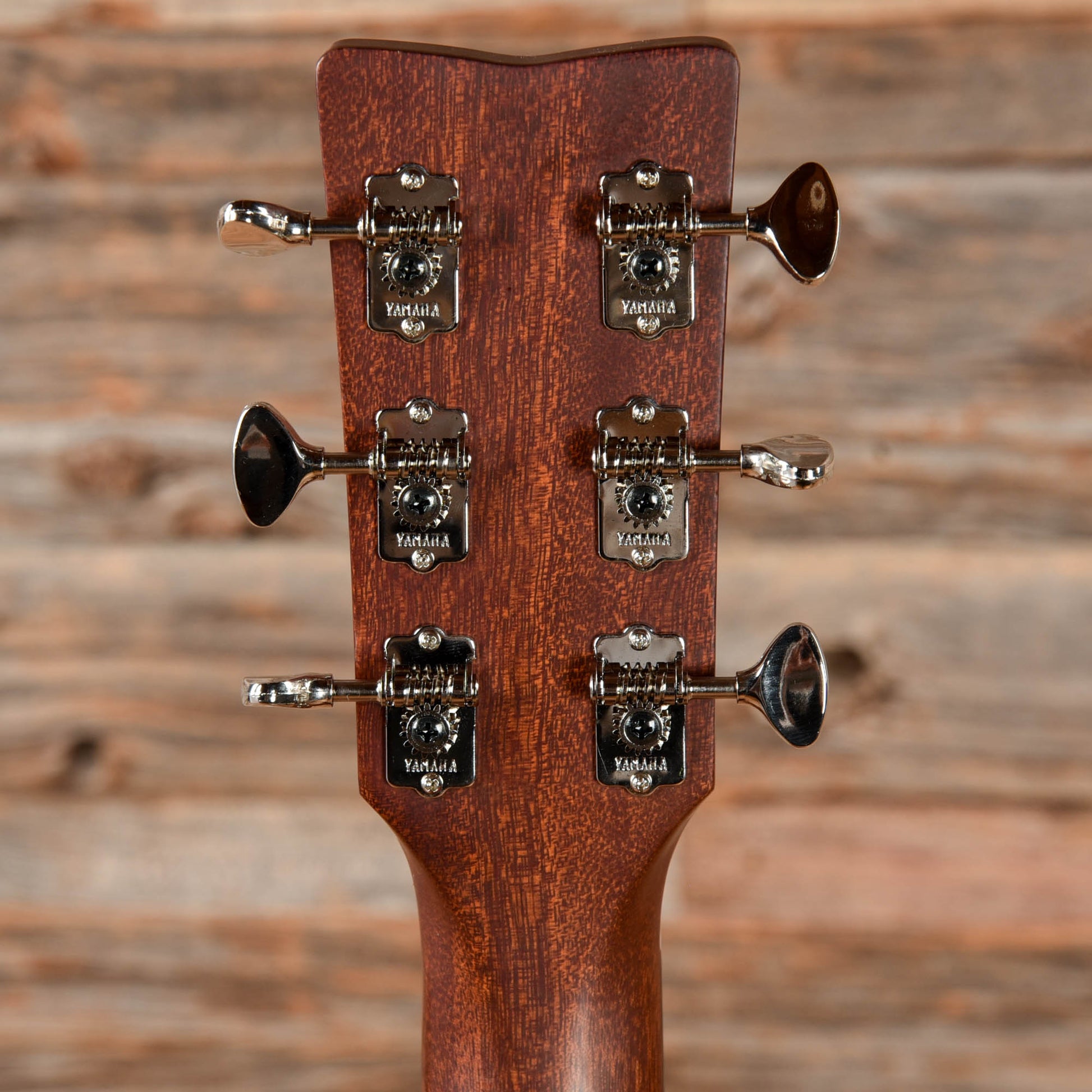 Yamaha FSX5 Red Label Concert Natural Acoustic Guitars / Concert