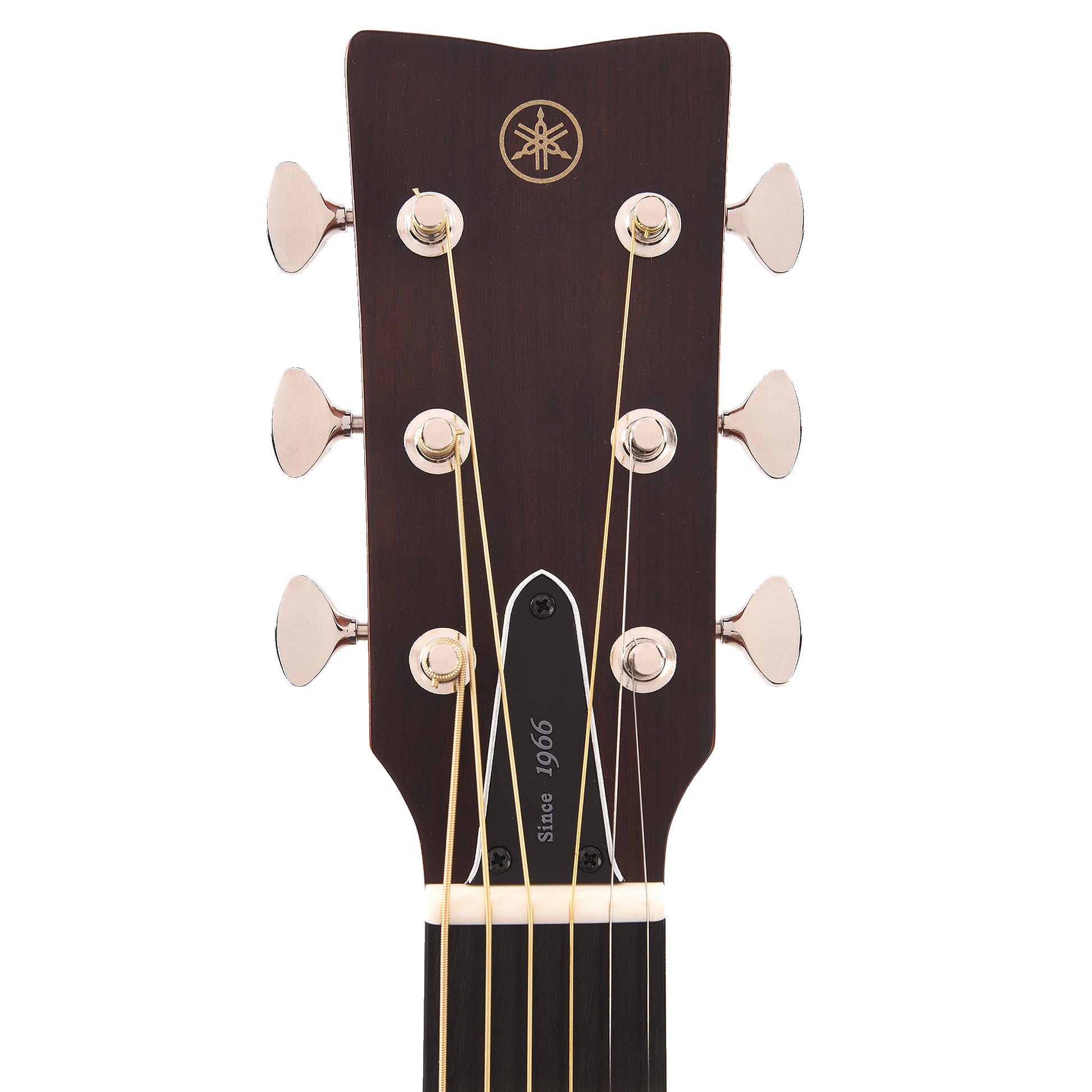 Yamaha Red Label FS5 GL Acoustic Guitar Gloss Acoustic Guitars / Concert