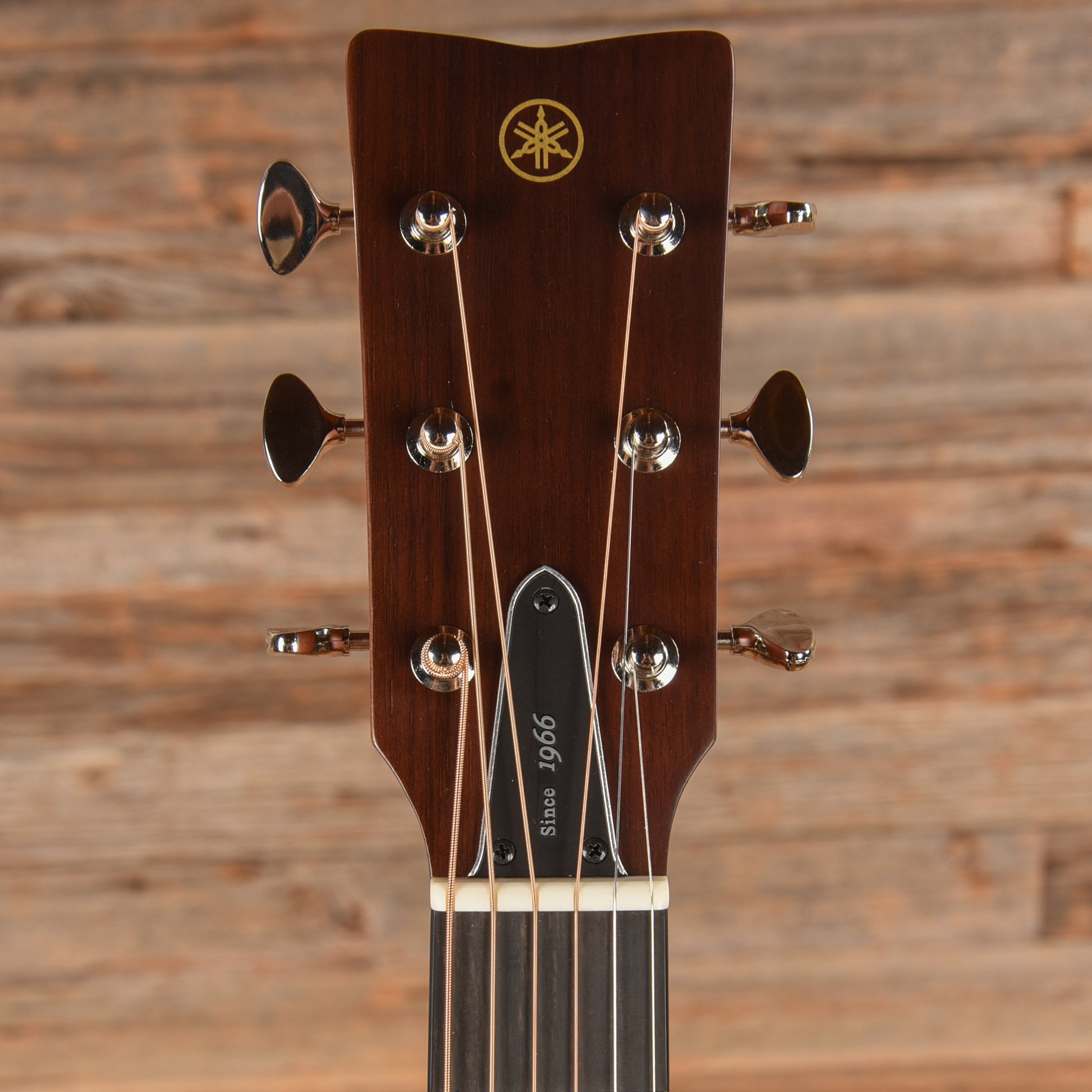 Yamaha Red Label FS5 GL Acoustic Guitar Gloss Drums and Percussion / Acoustic Drums / Full Acoustic Kits