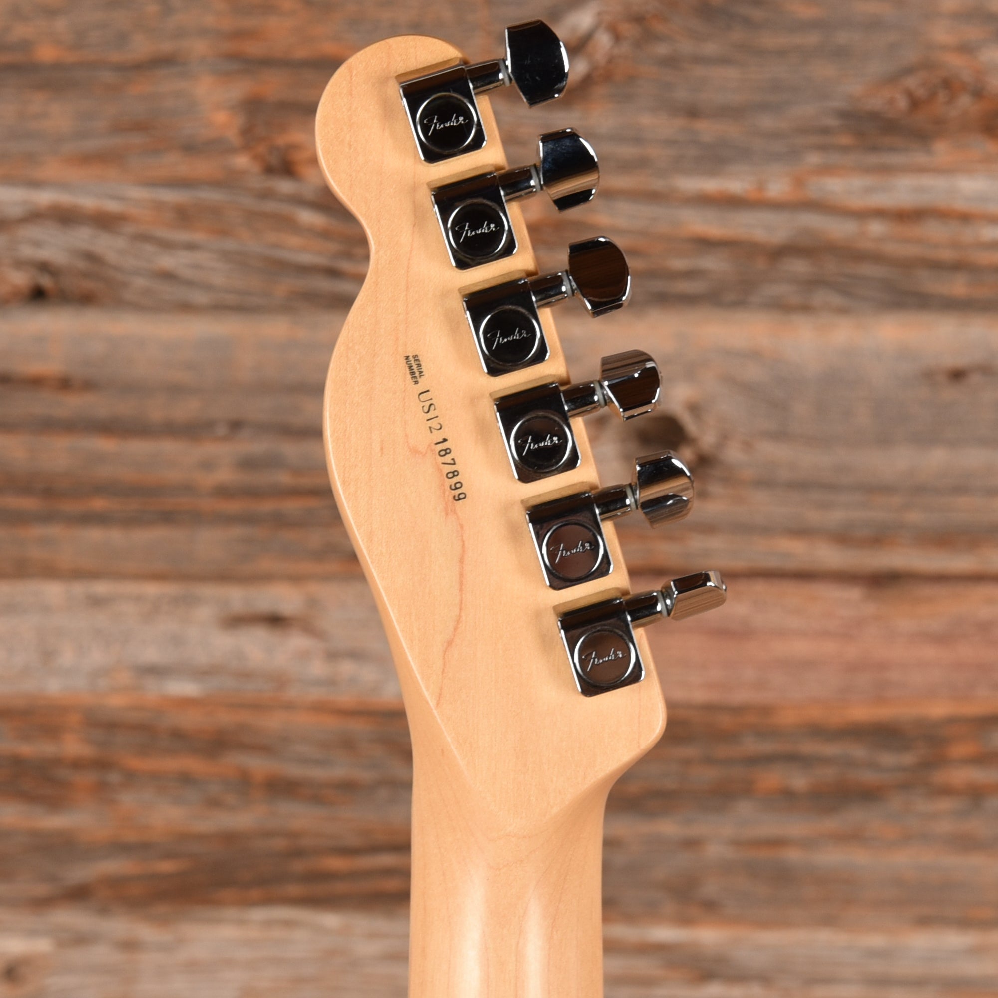 Fender American Standard Telecaster Neck with Allparts Body Black Paisley