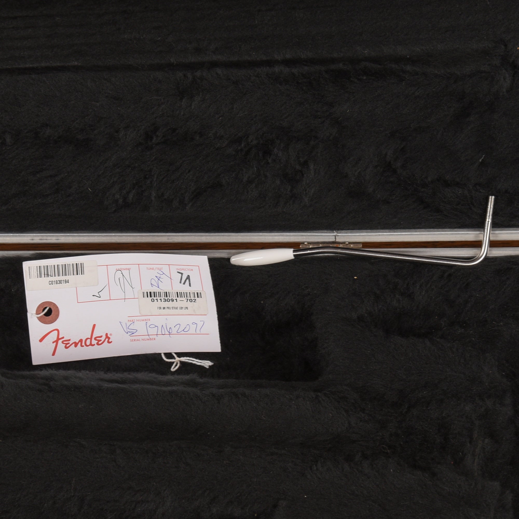 Fender American Professional Stratocaster Neck with Unknown Fender Body Pewter