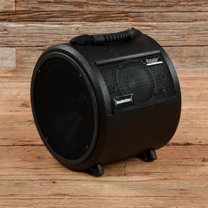 Acoustic Image Double Shot Cabinet Amps / Bass Cabinets