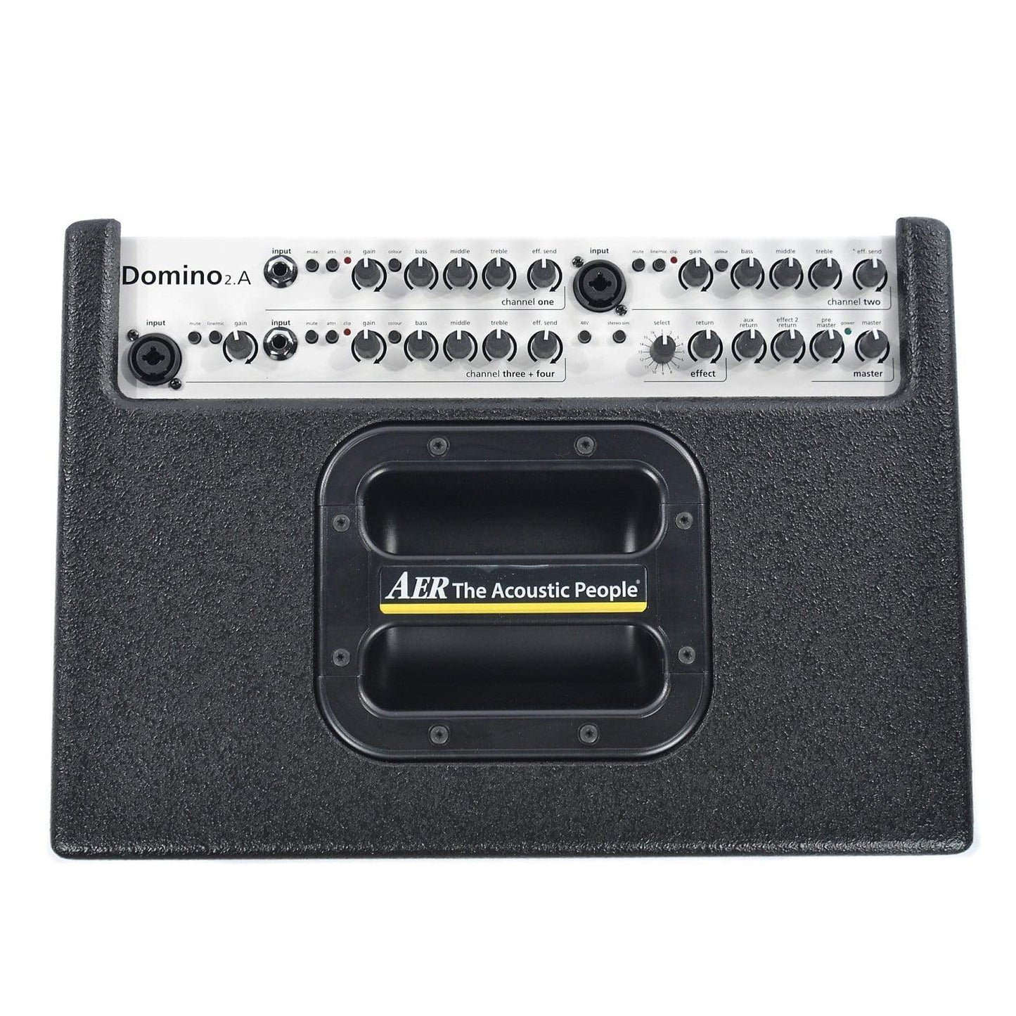 AER Domino-2A 100W 2x8 Acoustic Guitar Combo Amp Black Amps / Acoustic Amps