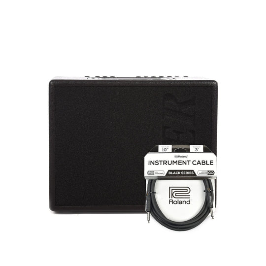 AER Compact 60/4 Tommy Emmanuel 60w 1x8 Acoustic Combo Amp Cable Bundle Amps / Guitar Combos