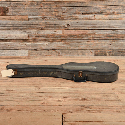 Alden Single Pickup Black 1964 Electric Guitars / Semi-Hollow