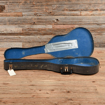 Alden Single Pickup Black 1964 Electric Guitars / Semi-Hollow
