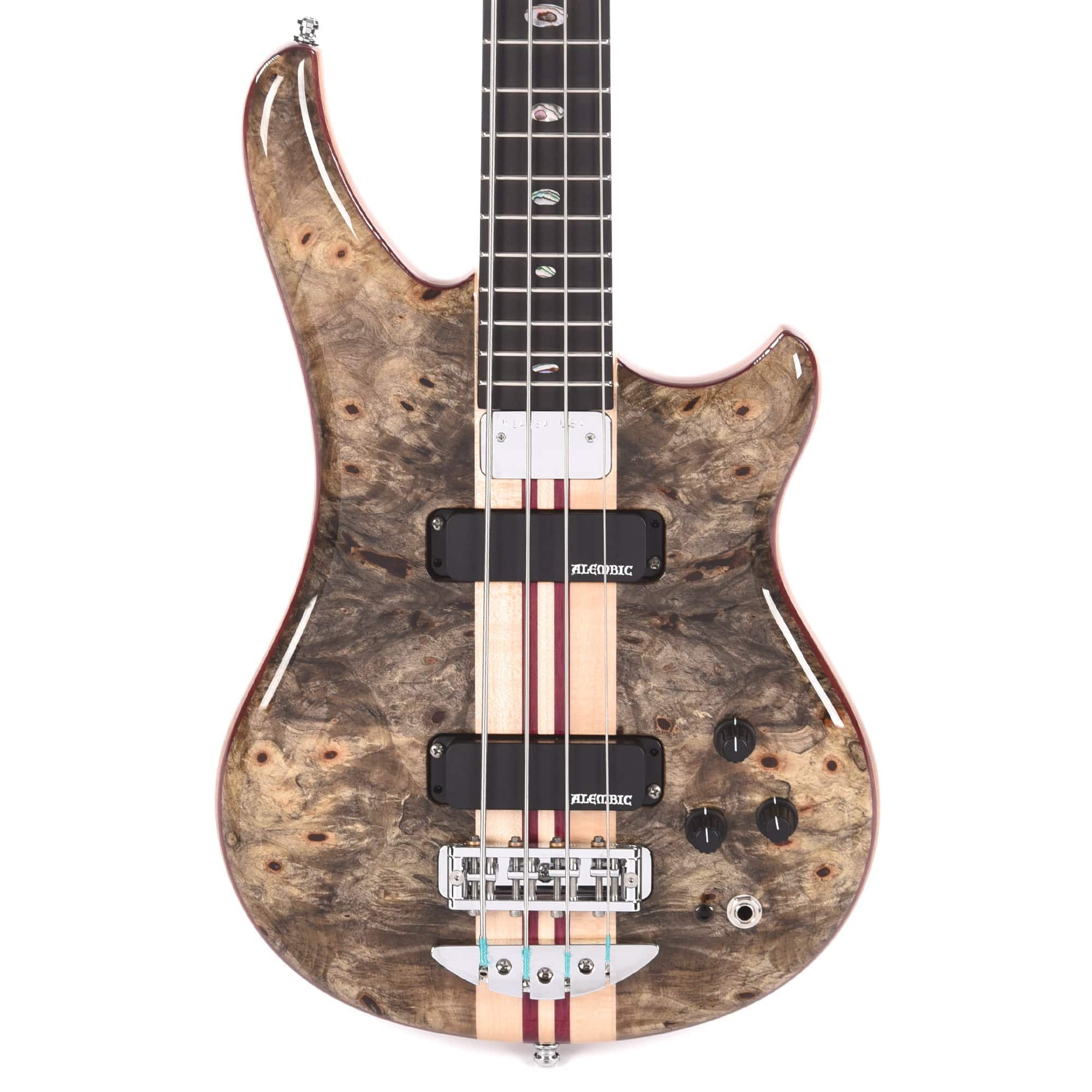 Alembic Essence 4-String Long-Scale Buckeye Top w/Blue Side LEDs