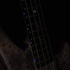 Alembic Essence 4-String Long-Scale Buckeye Top w/Blue Side LEDs, Chrome Plating, & Mahogany Backplates Bass Guitars / 4-String