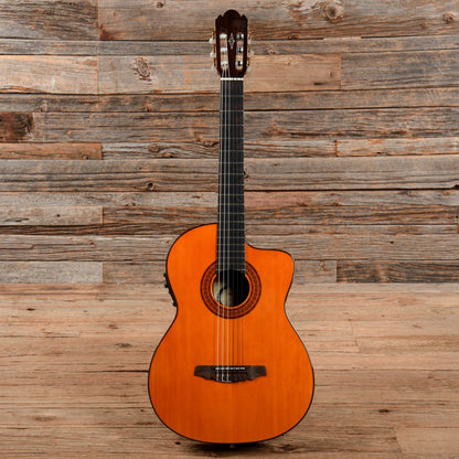 Alvarez Classical 5008C Natural Acoustic Guitars / Classical