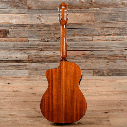 Alvarez Classical 5008C Natural Acoustic Guitars / Classical