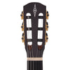 Alvarez Regent RS26N Short Scale Nylon Guitar Acoustic Guitars / Classical