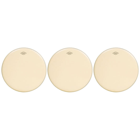 Aquarian 14" Modern Vintage Medium Drumhead (3 Pack Bundle) Drums and Percussion / Parts and Accessories / Heads