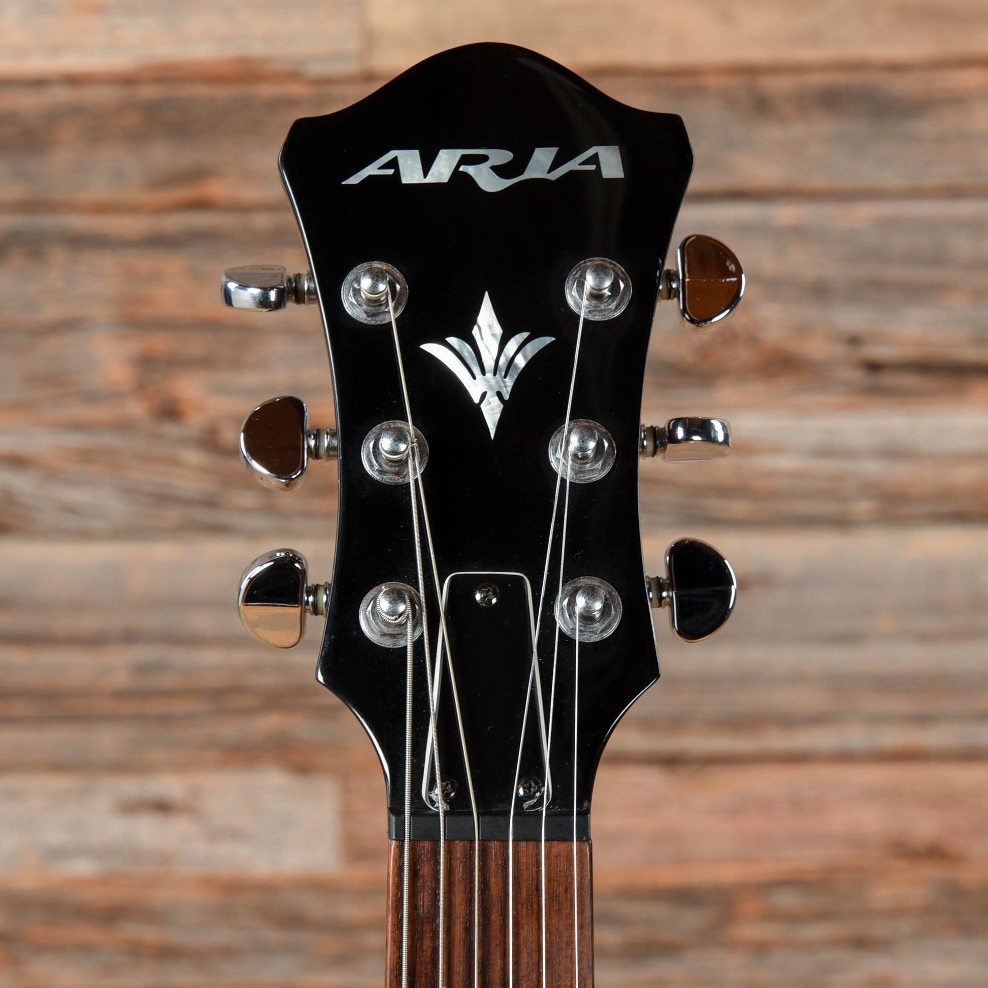 Aria Pro II TA65 Wine Red Electric Guitars / Semi-Hollow