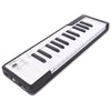 Arturia MicroLab Black Portable 25-Key USB Controller Keyboards and Synths / Controllers