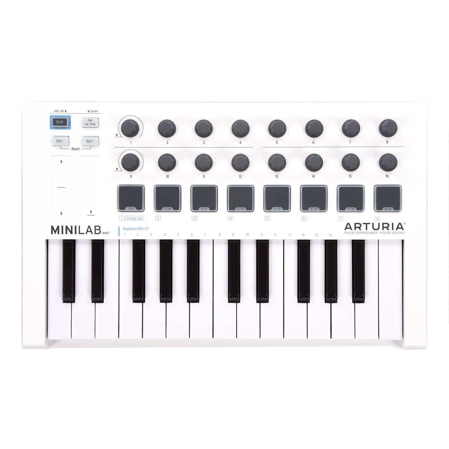 Arturia Minilab MIDI Controller Keyboards and Synths / Controllers