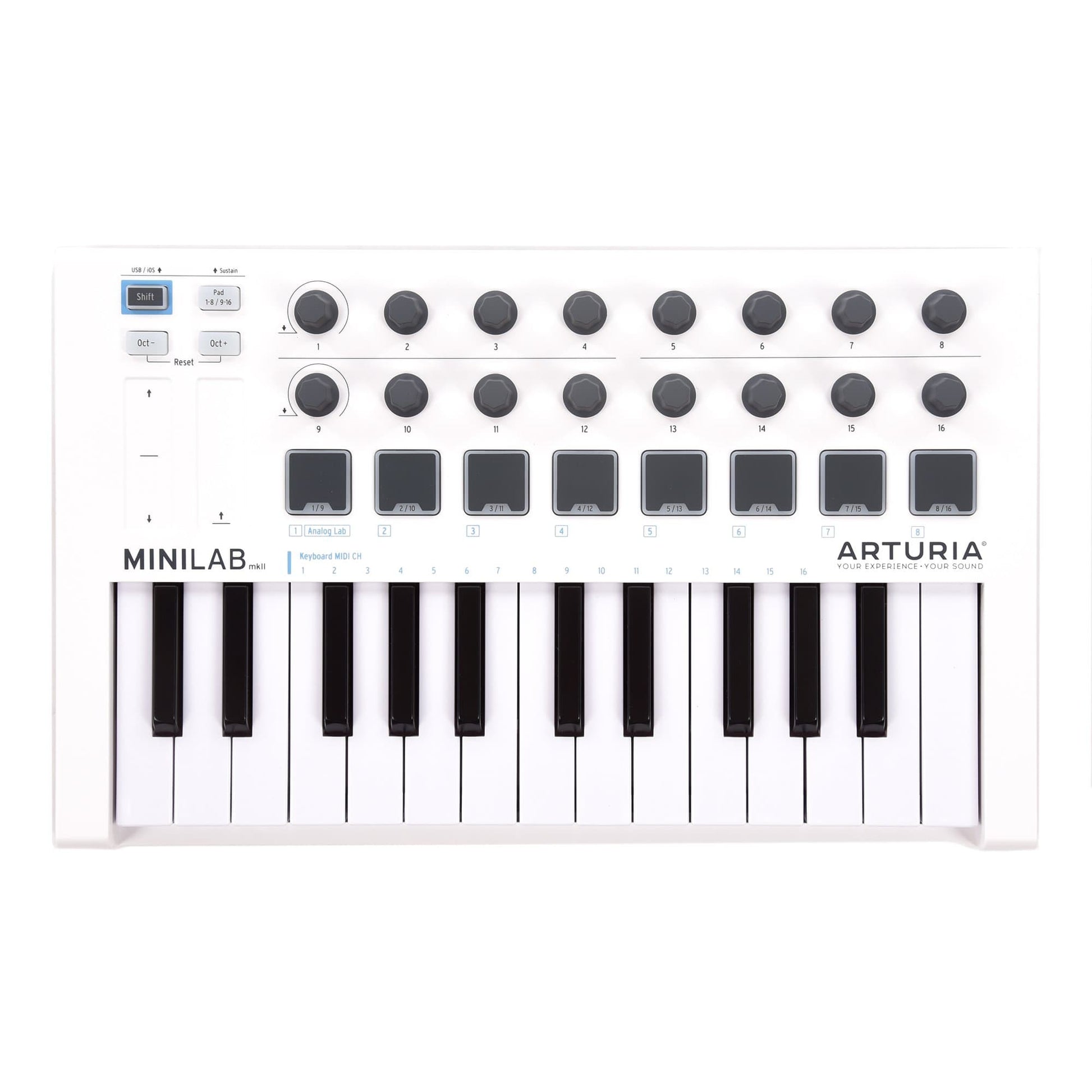 Arturia Minilab MIDI Controller Keyboards and Synths / Controllers
