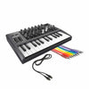 Arturia MicroBrute Analog Synthesizer w/Hosa 1.5' Unbalanced Patch Cable 3.5mm and 3' Midi Cable Keyboards and Synths / Synths / Analog Synths