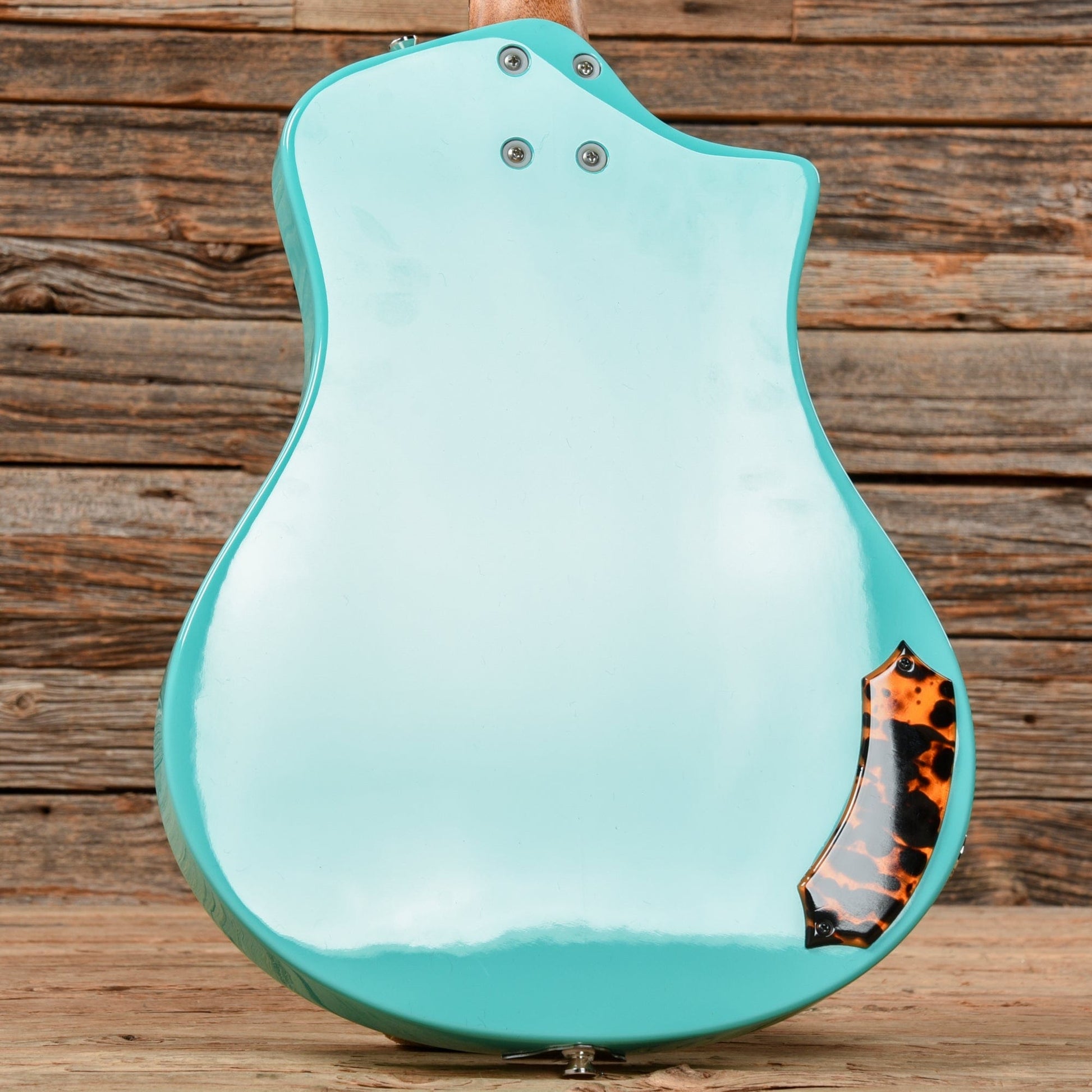 Asher Resosonic Rambler Seafoam Green 2022 Acoustic Guitars / Resonator