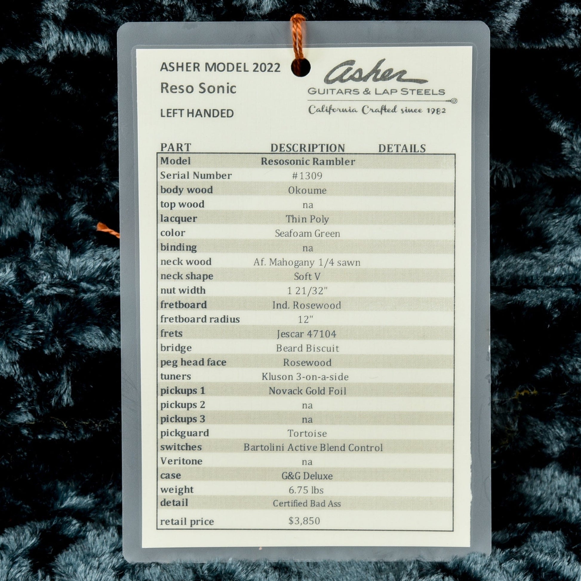 Asher Resosonic Rambler Seafoam Green 2022 Acoustic Guitars / Resonator