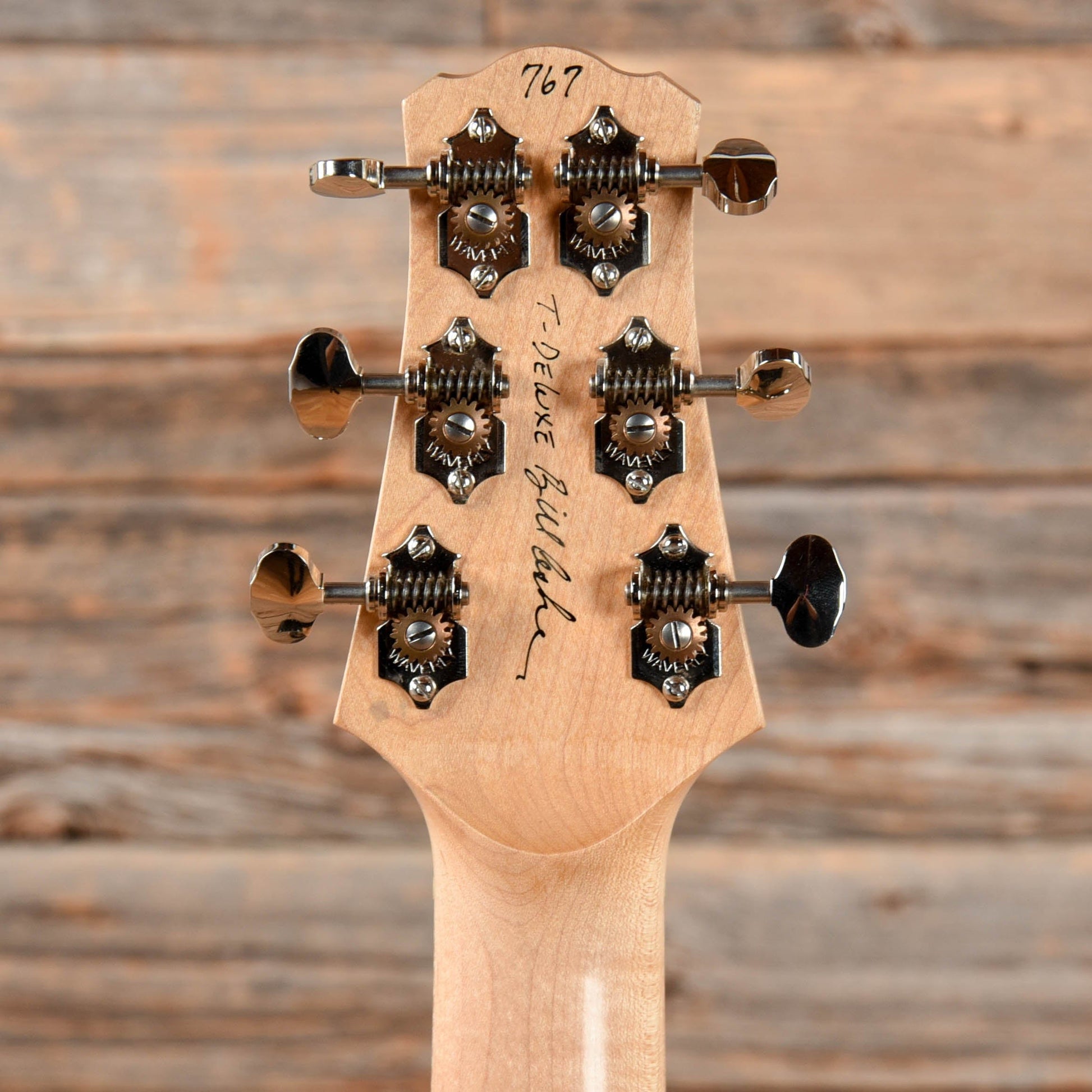 Asher T-Deluxe Dog Hair Electric Guitars / Solid Body