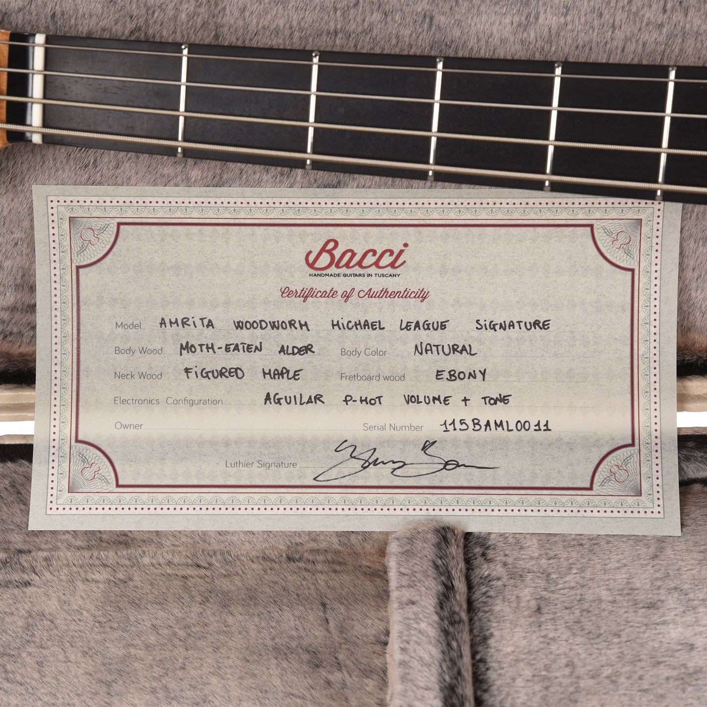 Bacci Michael League Signature Amrita Woodworm IV Bass Natural Bass Guitars / 5-String or More