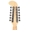 Bilt Volare 12 String 3 Tone Coronado Burst w/Lollar Goldfoil Humbuckers & Block Inlays Electric Guitars / 12-String