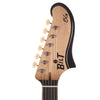 BilT ESG Roasted Alder Black w/3-Ply Black Pickguard & Lollar Pickups Electric Guitars / Solid Body