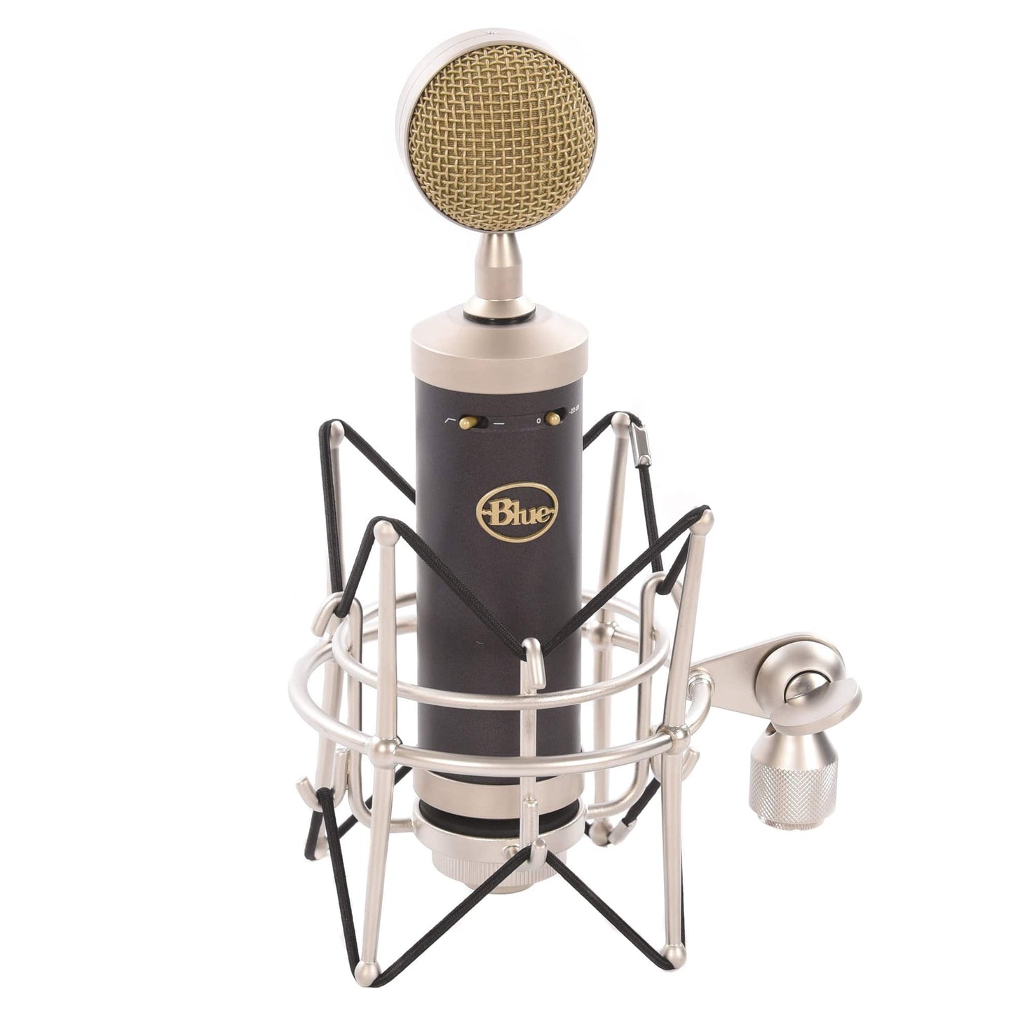 Blue Baby Bottle SL Large-Diaphragm Studio Condenser Microphone Pro Audio / Microphones