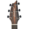 Breedlove USA Concert Fire Light E Mahogany-Mahogany Acoustic Guitars / Built-in Electronics