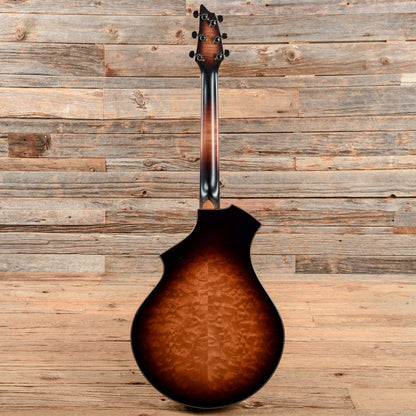 Breedlove CM MP Sunburst 2005 Acoustic Guitars / Concert