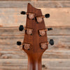 Breedlove ECO Pursuit EX S Companion CE Tigers Eye 2021 Acoustic Guitars / Concert
