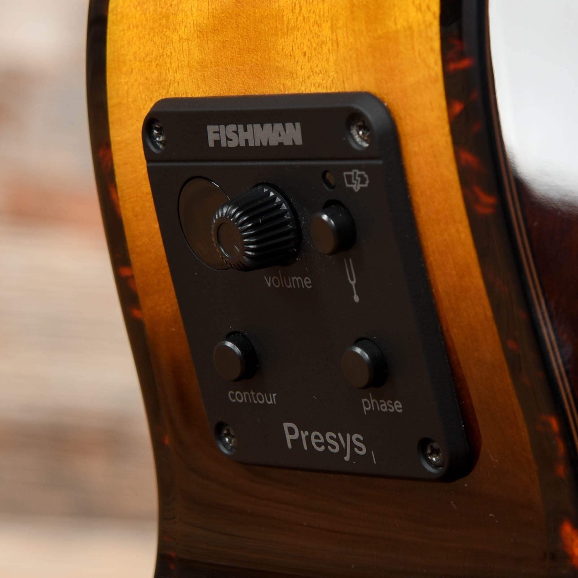 Breedlove ECO Pursuit EX S Companion CE Tigers Eye 2021 Acoustic Guitars / Concert