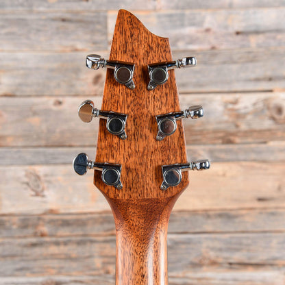 Breedlove Passport D20/FS Natural 2009 Acoustic Guitars / Dreadnought