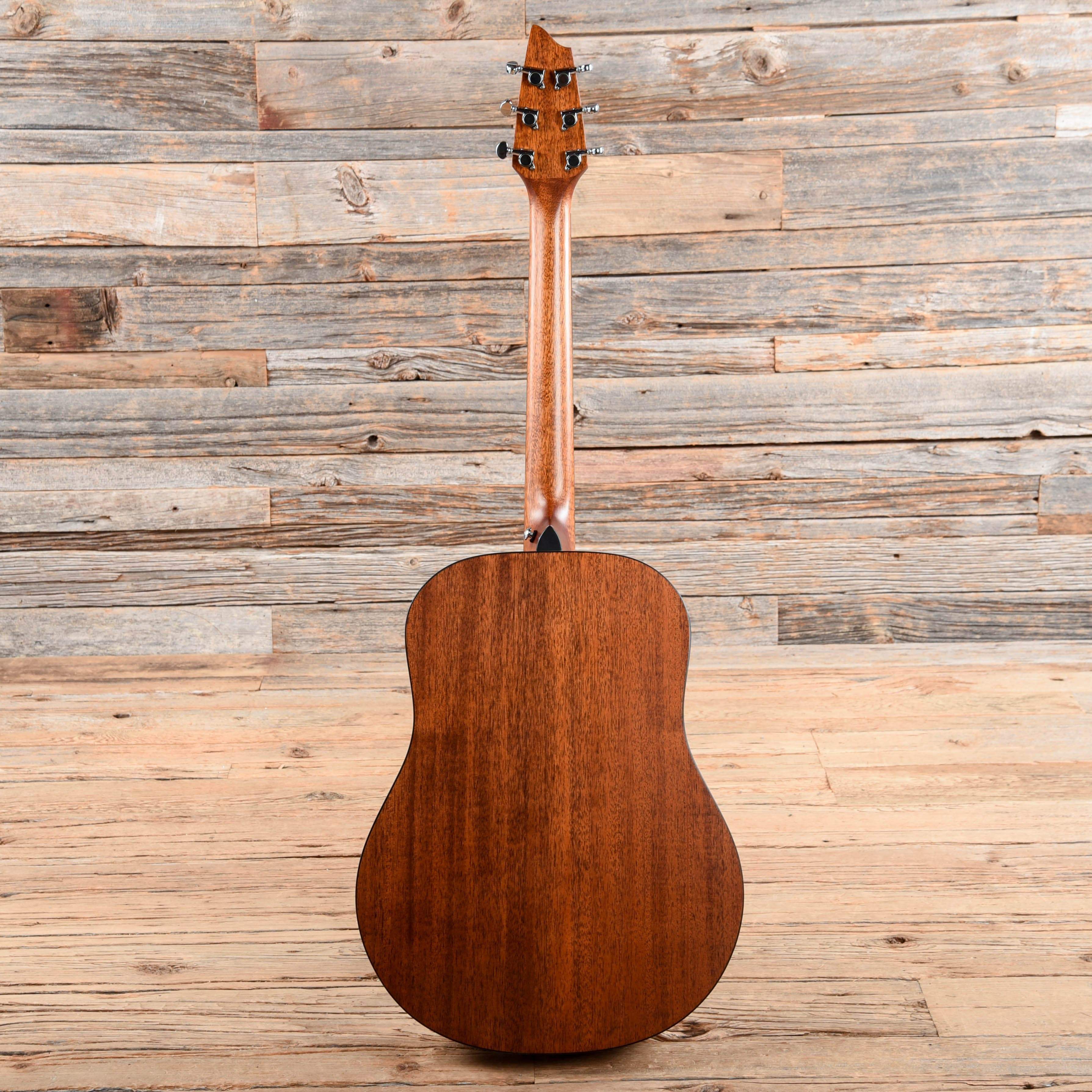 Breedlove Passport D20/FS Natural 2009 Acoustic Guitars / Dreadnought